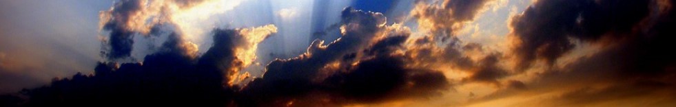 ❔: Muss ich integriert werden? (Antworten: 6)