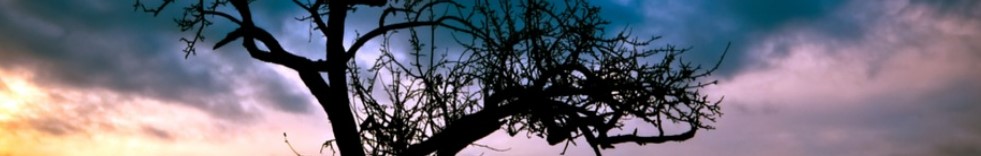 ❔: Ich glaube ein guter Freund ist 