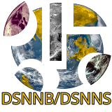 DSNS